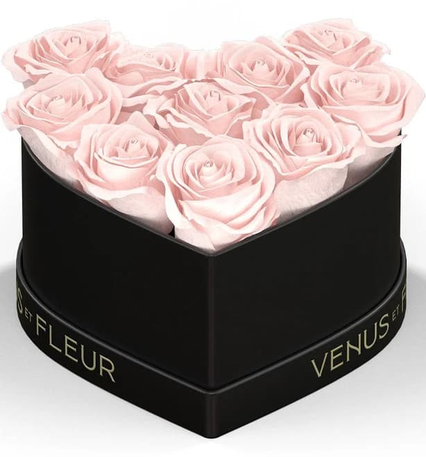 Venus et Fleur Mother's Day Flowers & Gifts Blush Eternity Rose