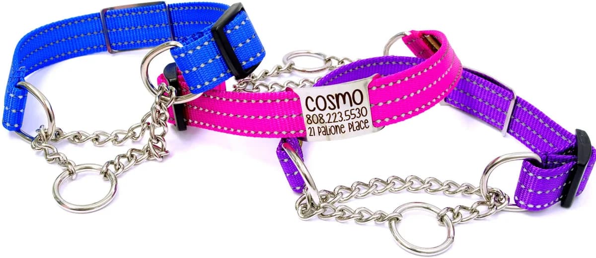Personalized Nylon Martingale Chain Dog Collar