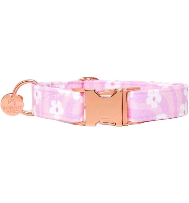 Flower Power Groovy Spring Floral Dog Collar