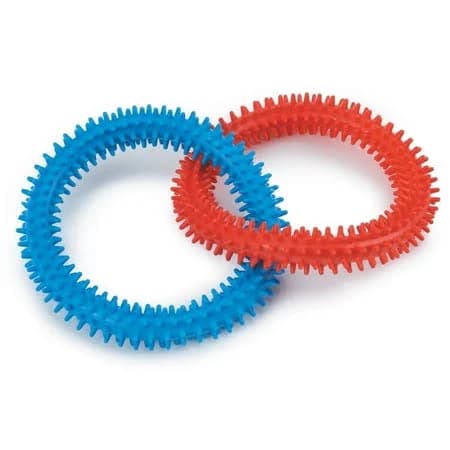 Rubber Nub Dog Toy
