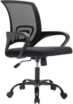 Jonpony Ergonomic Office Chair