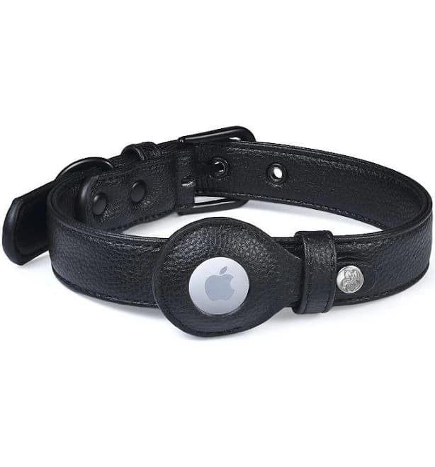 Blueberry Pet AirTag Dog Collar