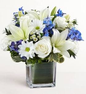 1-800-flowers Healing Tears Blue & White