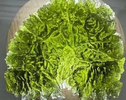 Authentic Spiky Moldavite Crystal: Czech Republic Nesmen-Jimka Collector Quality - Etsy.de