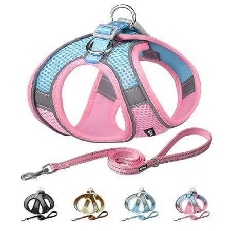 Aiitle Step-in Dog Vest Harness Leash Set