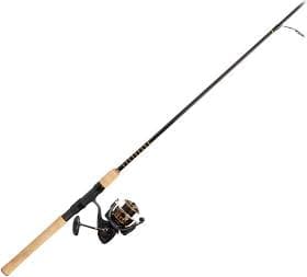 Daiwa BG Spinning Combo