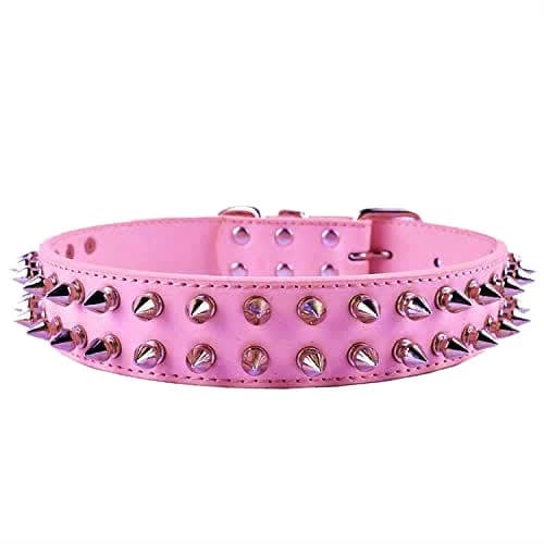 Spikes Dog Collar