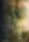 Video frame trigger