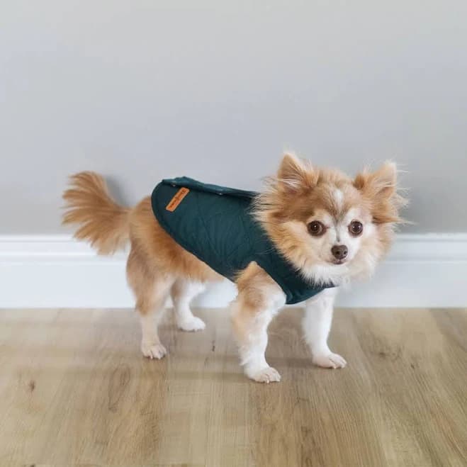 Dearfoams Quilted Barn Dog Jacket