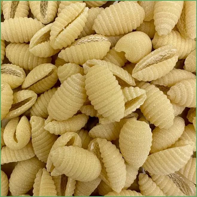 Vegan Cavatelli Pasta 10 oz Dried