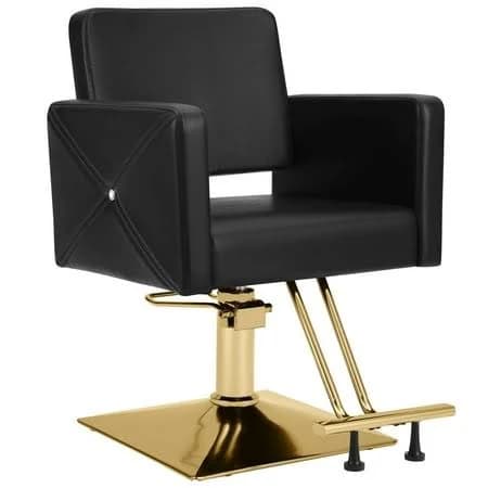 Artist Hand Hydraulic Salon Barber Chair