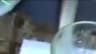 Video frame trigger