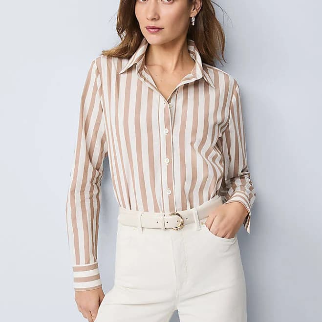Ann Taylor Women's Weekend Collection Striped Relaxed Perfect Shirt