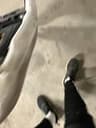 Video frame trigger