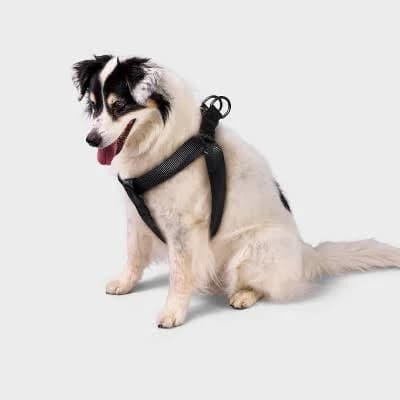 Boots & Barkley Basic Step in Adjustable Reinforced Stitching Dog Harness