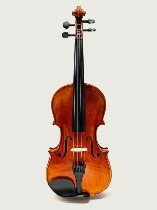 McNeela Student Violin and Bow Set