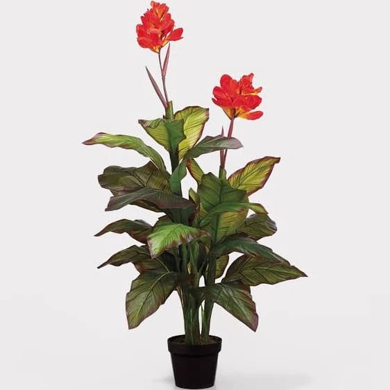 Allstate Floral Canna Plant in Pot