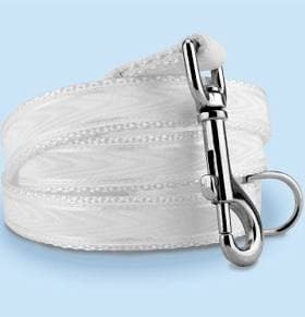 Wedding Dog Leash