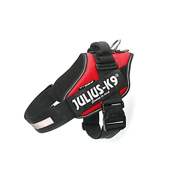 Julius K9 Power IDC Harness