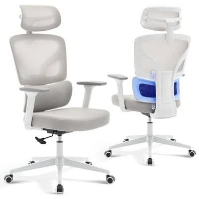 Ergonomic Mesh Office Chair