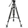 Video frame trigger