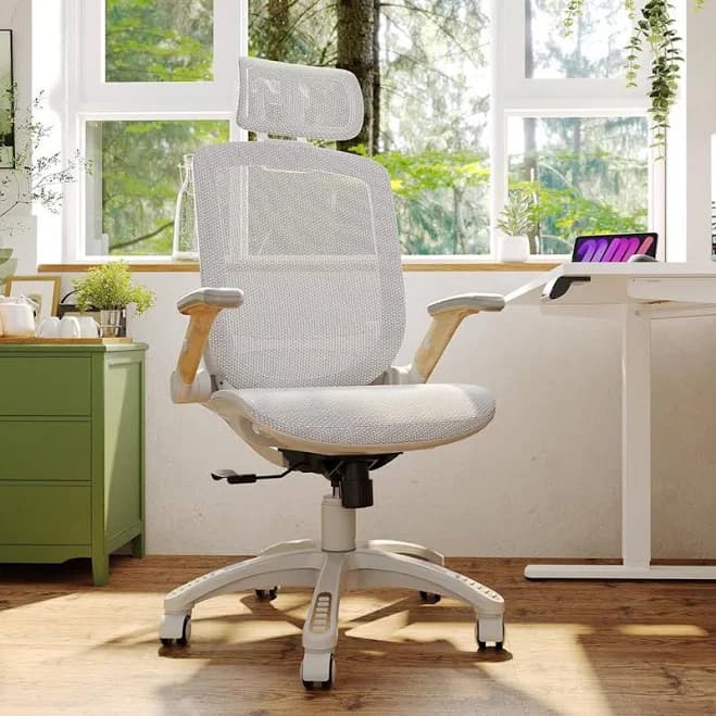 Ergonomic Office Chair
