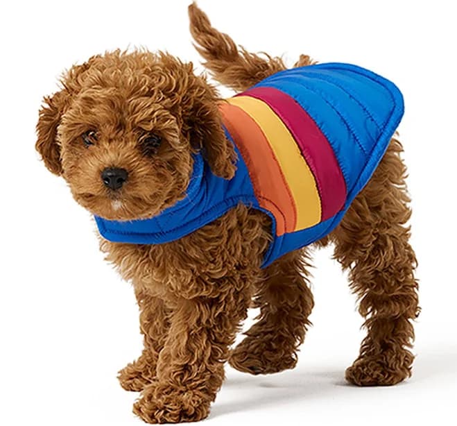 PetSmart Top Paw Pet Puffer