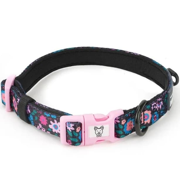 Midnight Garden Adjustable Dog Collar