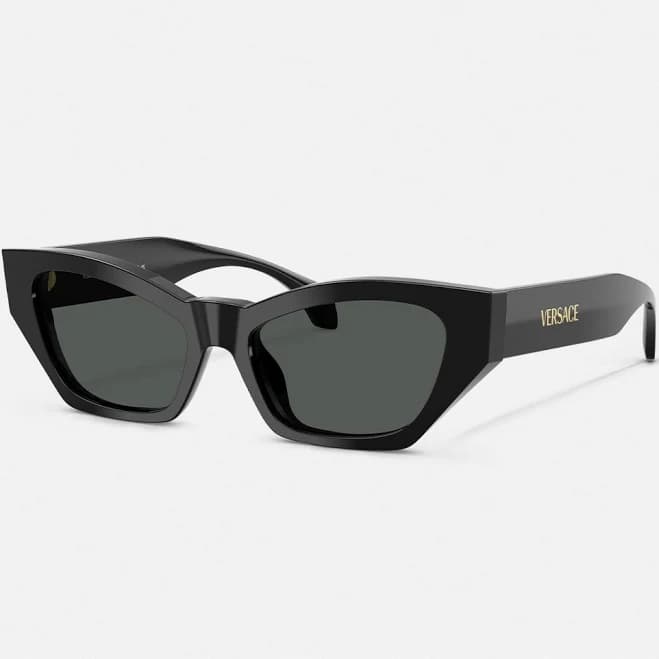 Versace Women's VE4488U Sunglasses