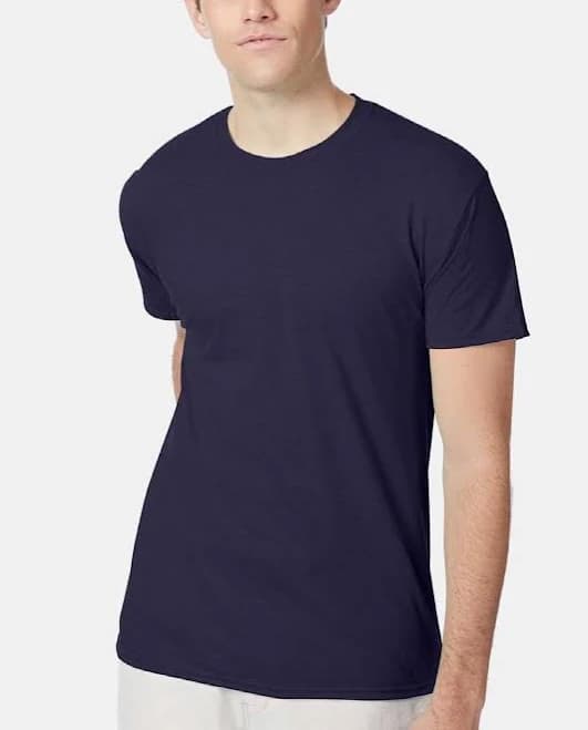 Hanes Men's 42tb Perfect-T Triblend T-Shirt