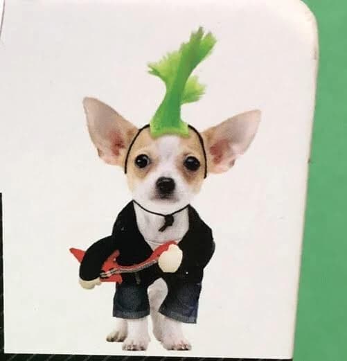 Way To Celebrate Halloween Dog/Cat Punk Rock Costume