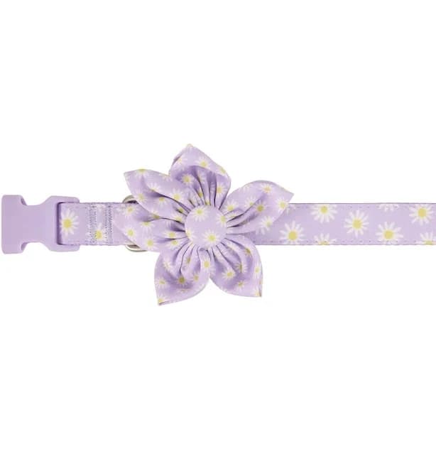 Top Paw Daisy Flower Dog Collar