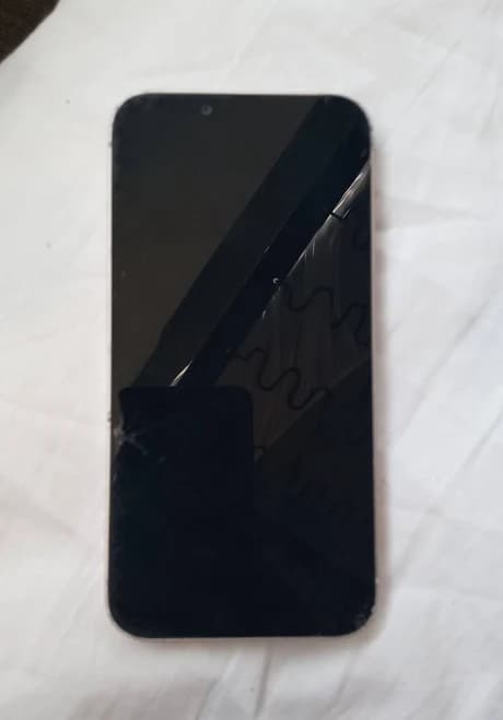 Restored Apple iPhone 13