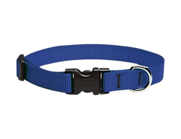 Lupine Pet Basic Solids Adjustable Dog Collar