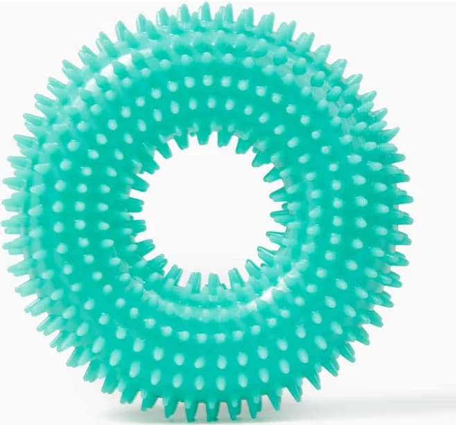 Gnawsome Spiky Ring Dog Chew Toy