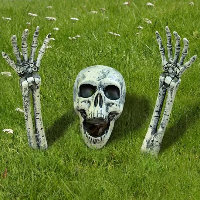 3 Pcs Halloween Skeleton Decorations