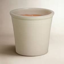 Birch Lane™ Ceramic Pot Planter | Birch Lane