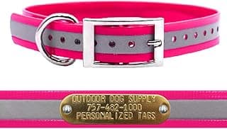 1" Heavy Duty Reflective Waterproof D-Ring Dog Collar for Medium & Large Dogs with 3/4" Custom Brass Nameplate (Reflective Pink, 21")