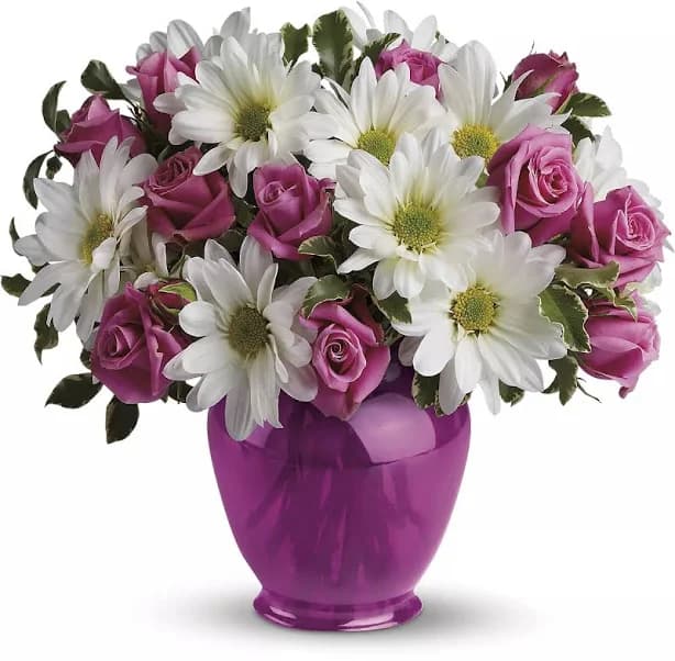 Pink Daisy Delight