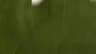 Video frame trigger