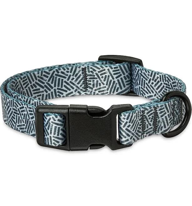 Vibrant Life Adjustable Cushioned Dog Collar
