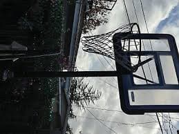 basketball hoop | eBay