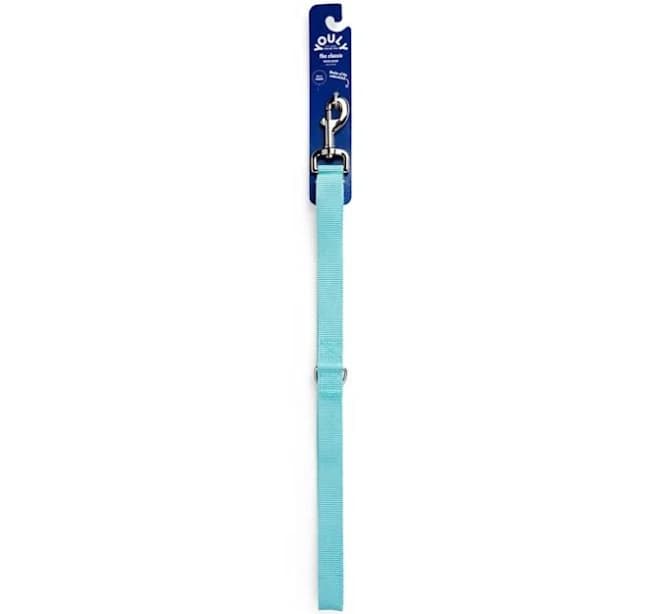 Youly Webbed Dog Lead