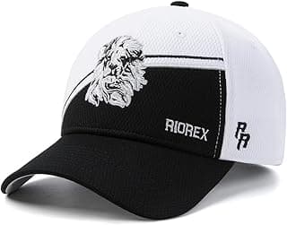 Baseball Cap, Fitted Hat with Embroidered Design,High Luxury Baseball Cap, Breathable Sports Cap, Outdoor Sun hat