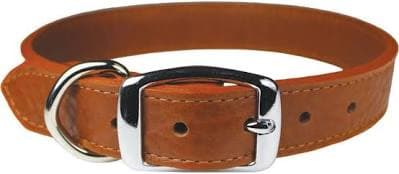 omnipet Luxe Leather Dog Collar