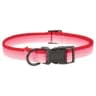 Video frame trigger