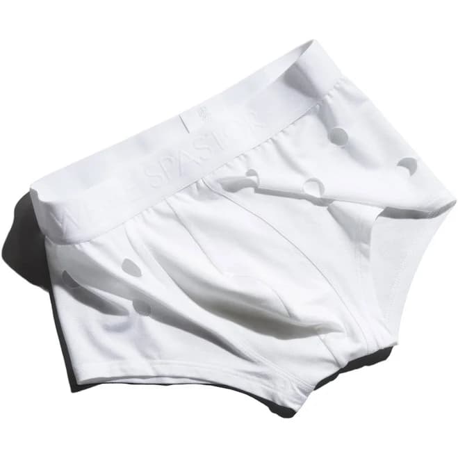 White Briefs Mid Boxer Brief