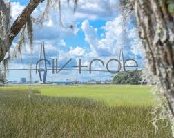 Nature's Framework - Ravenel Bridge - Charleston, South Carolina - Mount Pleasant - Digital Print - Instant Download - Etsy