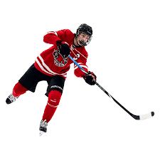 BAUER NEXUS E40 STICK SENIOR
