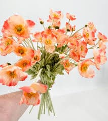Ombre Pink Poppy Stem | 23" Tall Luxury Quality Artificial Flower – BlumeBloom